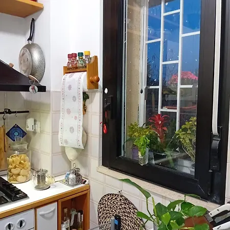Grazioso Immerso Nel Apartamento *